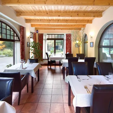 酒店 & Wellness St. Moritz 4*