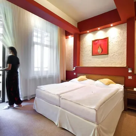 酒店 & Wellness St. Moritz 4*