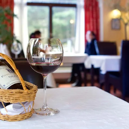 Hotel & Wellness St. Moritz 4*