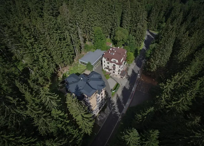 & Wellness St. Moritz Готель